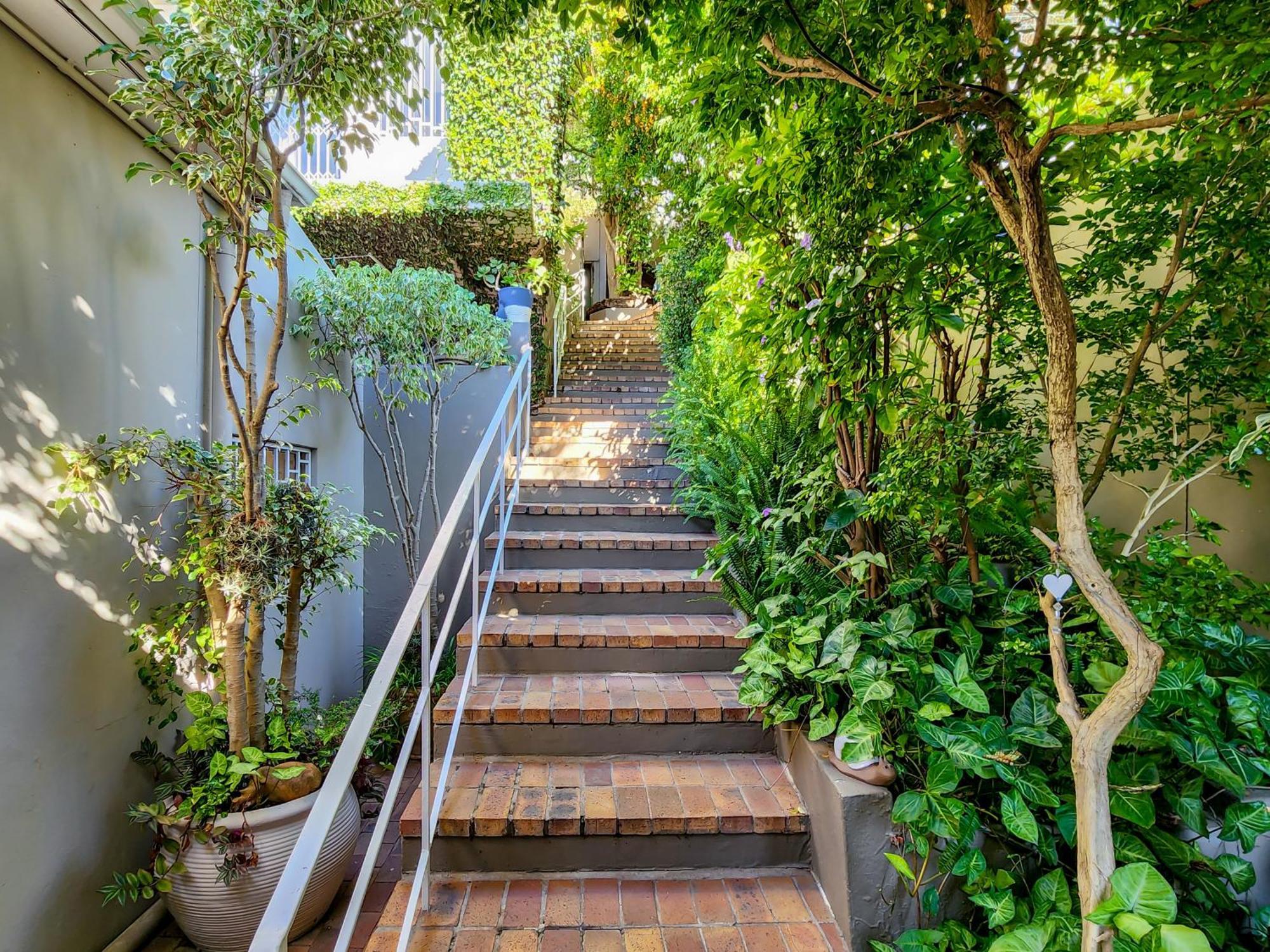 Guest house Bluegum Hill & Cape Town